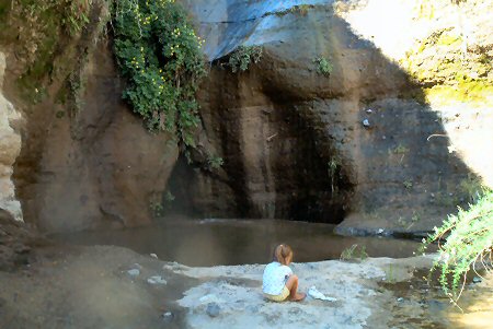 Little Cypress at Jano Spring